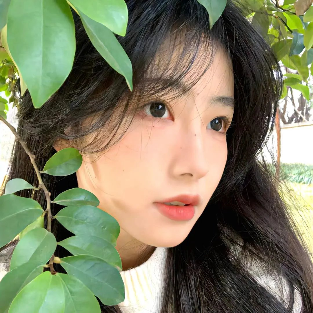 杀手·蝴蝶·梦
